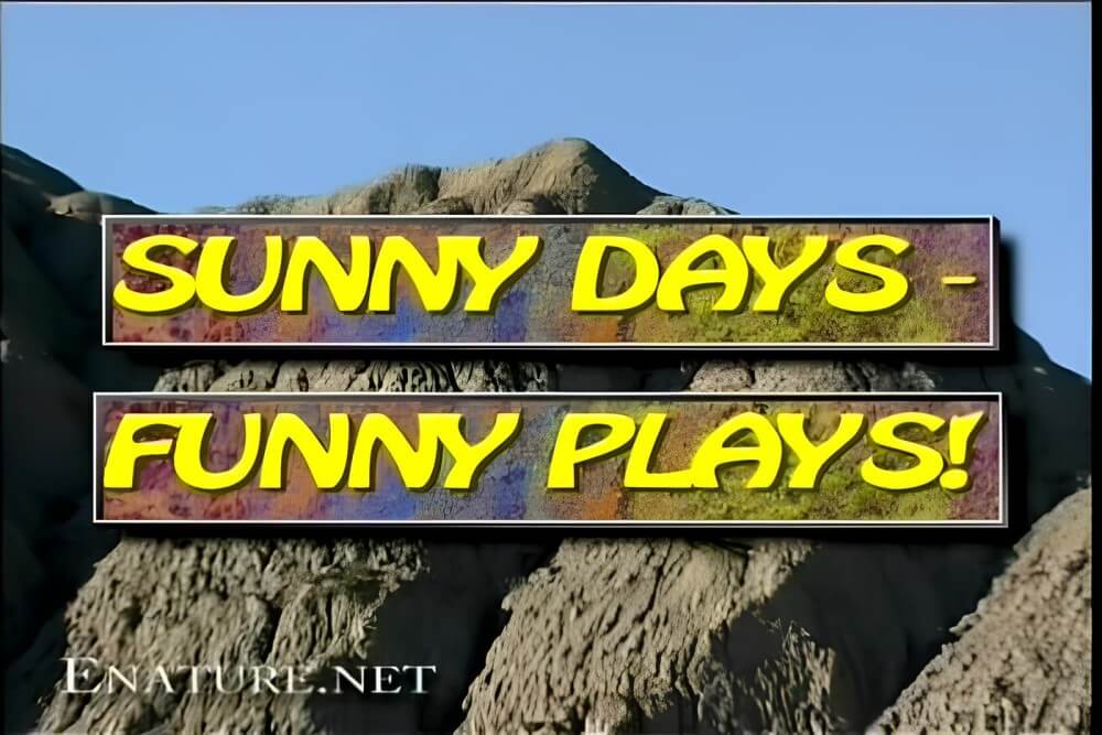 Enature - Sunny Days – Funny Plays - Nudism teaches respect for the body and nature