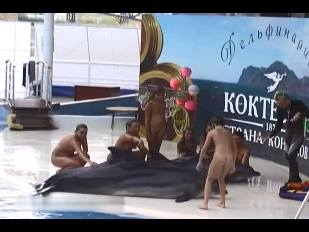 Relaxing at the dolphinarium - Nudity helps you understand yourself and respect others