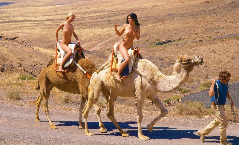 Funny Moments Life pics - Watching us naked in nature